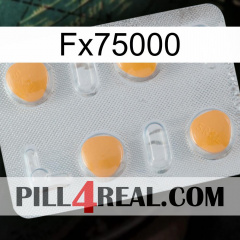 Fx75000 24